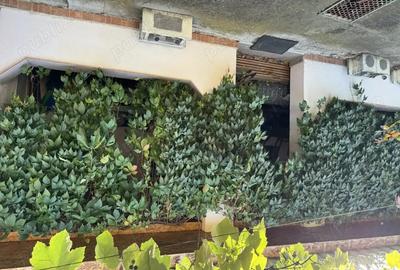 Casă cu 5 camere în Moniom - 3