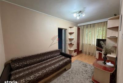 Apartament cu 2 camere semidecomandat în Podu Roș - 2