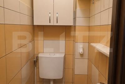 Apartament cu 4 camere decomandat, mobilat în Mănăștur - 7