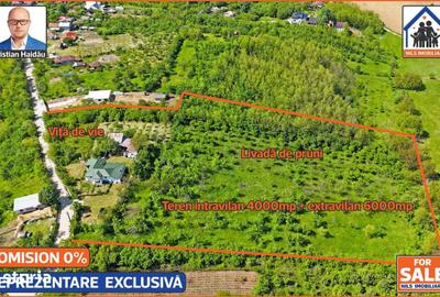 Casă cu 4 camere cu Teren 10000 Mp în Bălțești - 5