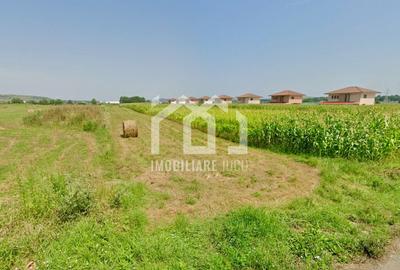 Teren Construcții intravilan de 2900 mp, în Jucu de Sus