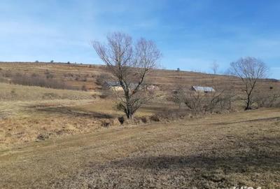 Teren de 8400 mp, în Vălișoara - 4