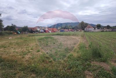 Teren Construcții intravilan de 1620 mp, în Comana de Jos