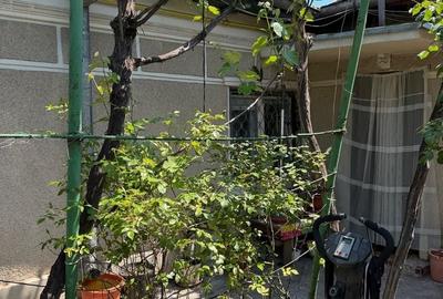 Casă individuală cu 3 camere cu Teren 230 Mp în Coiciu - 2