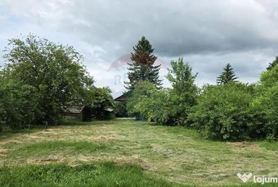 Casă cu 3 camere cu Teren 5063 Mp în Uzunu - 2