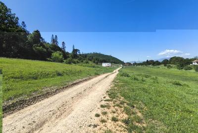 Teren Construcții intravilan de 2000 mp, în Cristian - 1