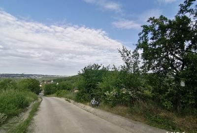 Teren de 5000 mp, în Uricani - 4