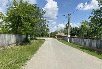 Casă cu Teren 1030 Mp în Ograda - 5
