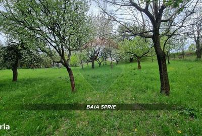 Spațiu comercial, în Central - 3
