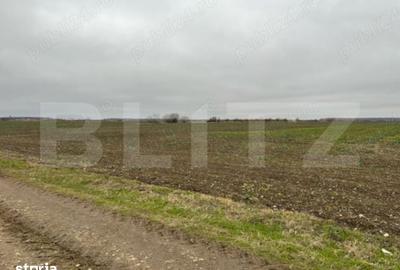 Teren de 15500 mp, în Vânătorii Mici