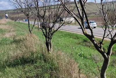 Teren intravilan de 1002 mp, în Căianu-Vamă - 4