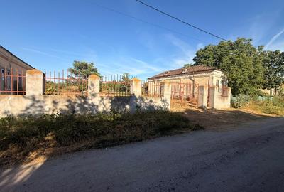 Casă individuală cu 3 camere cu Teren 5783 Mp în Segarcea-Vale