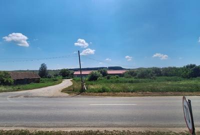 Teren agricol intravilan de 11419 mp, în Agnita - 8