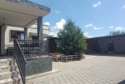Casă cu 10 camere cu Teren 1274 Mp în Calea București - 17
