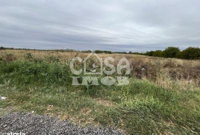 Teren de 15000 mp, în Centură - 3