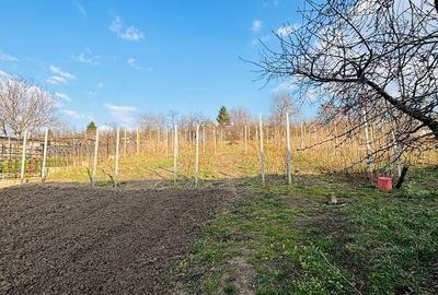 Casă cu 4 camere cu Teren 2000 Mp în Șura Mare - 12