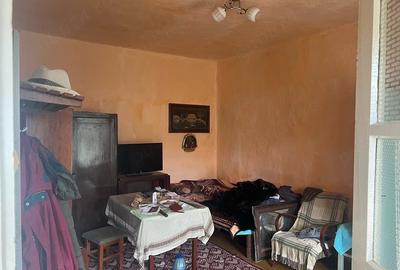 Casă cu Teren 1480 Mp în Liebling - 4