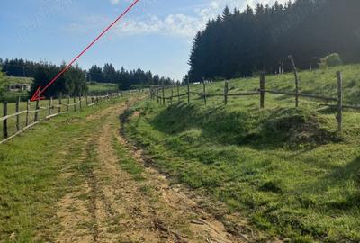 Teren de 2700 mp, în Poiana Sibiului - 4