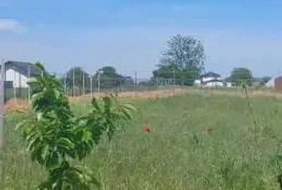 Teren de 1034 mp, în Dumitrana