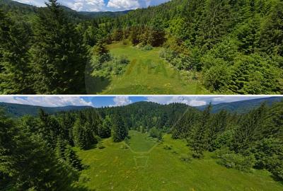 Teren Construcții intravilan de 2966 mp, în Arieșeni - 1