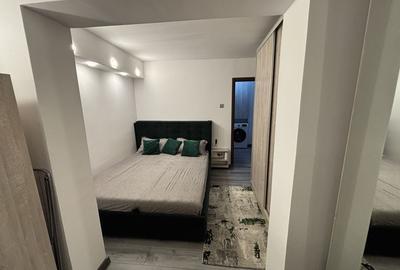 Apartament cu 2 camere semidecomandat în Rovine - 5