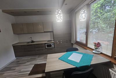 Apartament cu 2 camere semidecomandat, mobilat în Plopilor - 1