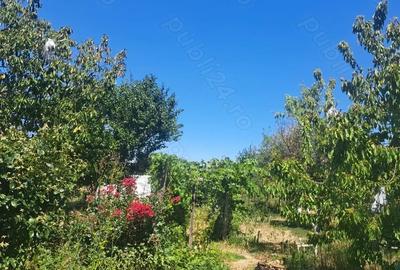 Casă cu 6 camere cu Teren 1880 Mp în Parța - 6
