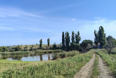 Teren extravilan de 1000 mp, în Vest