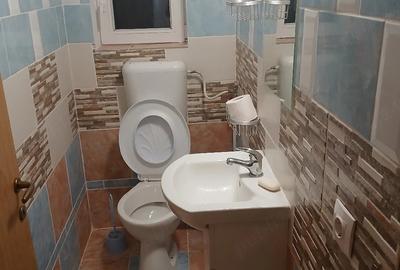 Casă cu Teren 500 Mp în Mărăști - 9