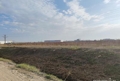 Teren Construcții intravilan de 7700 mp, în Bolintin-Deal - 2