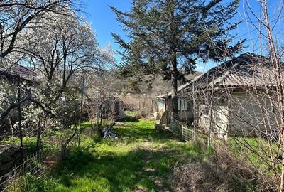 Casă cu 3 camere cu Teren 3843 Mp în Ciucurova - 8