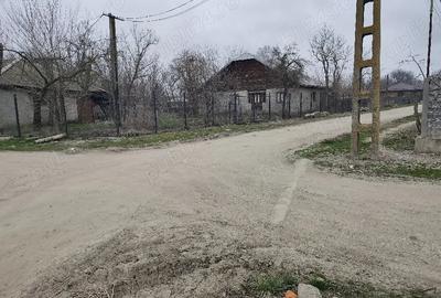 Casă cu Teren 1700 Mp în Băbăița