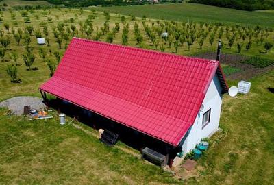 Teren intravilan de 25624 mp, în Moișa - 3