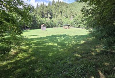 Teren de 3386 mp, în Borca