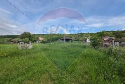 Casă cu Teren 4234 Mp în Deag - 5