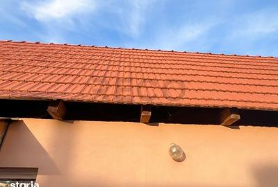 Casă cu 3 camere cu Teren 300 Mp în Tileagd - 8
