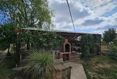 Casă cu 3 camere cu Teren 5587 Mp în Sânpetru Mic