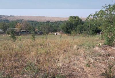 Teren de 3555 mp, în Smulți - 4
