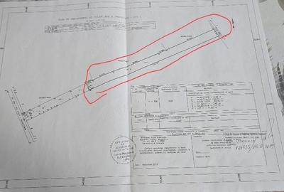 Teren de 2607 mp, în Ulmi - 3