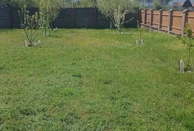Casă cu Teren 2800 Mp în Aldeni - 1