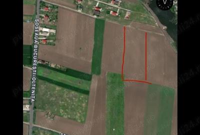 Teren de 6229 mp, în Frumușani - 3