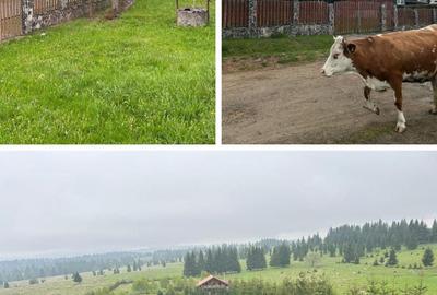 Casă cu 7 camere cu Teren 1000 Mp în Beliș
