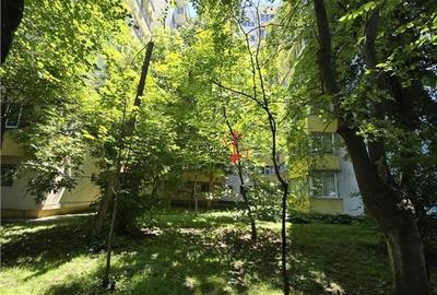 Apartament cu 4 camere decomandat în Doamna Ghica - 29