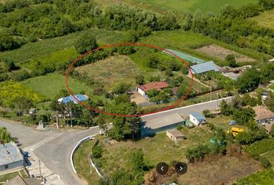 Casă cu 4 camere cu Teren 2800 Mp în Hamcearca - 3