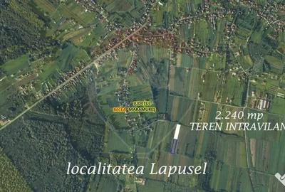 Teren de 2240 mp, în Lăpuș - 4