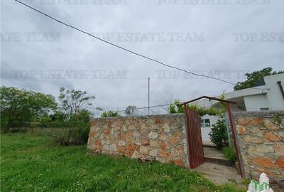Casă individuală cu 3 camere cu Teren 5250 Mp în Casicea - 14