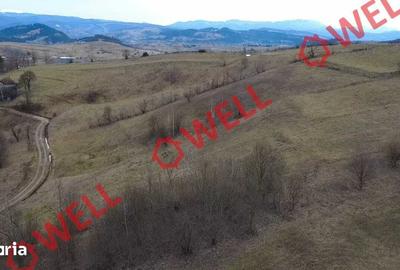 Teren de 4200 mp, în Barcani - 6