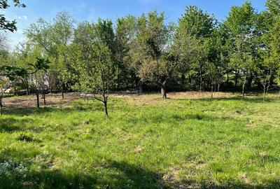 Teren Construcții intravilan de 4657 mp, în Coruia