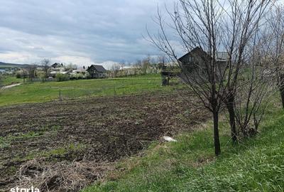 Teren de 3150 mp, în Răchiți - 2
