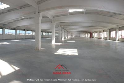 Spațiu industrial, de 13,000 mp, în Băicoi - 4